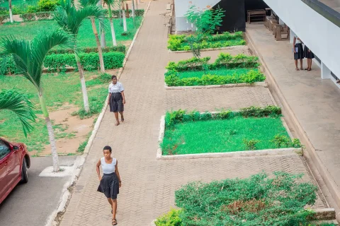 LAWNS & PAVEMENT